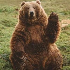 Meet your Posher, Matt